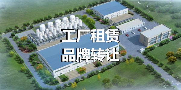 油老板：2023年起，5年内的目标是活下去