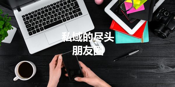 做私域，说白了就是多发朋友圈，无他