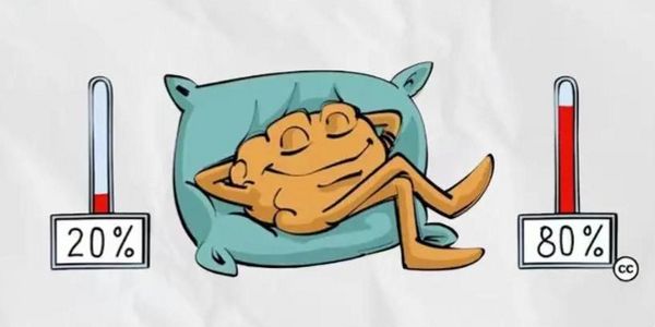 20%的客户创造了80%的的收入,是,但别误解